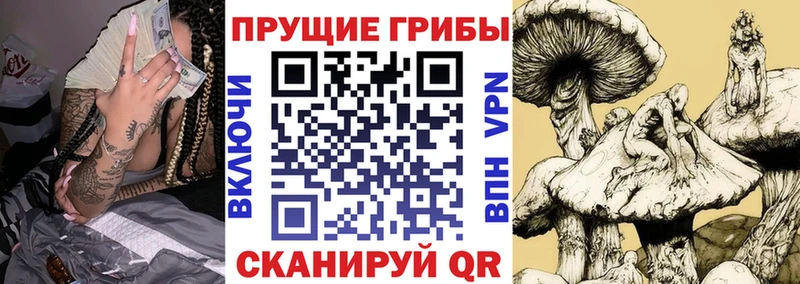 мориарти как зайти Фокино Галлюциногенные грибы ЛСД